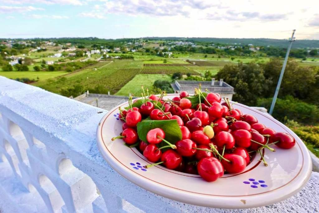 Dimora Le Terrazze Villa Selva Di Fasano Exterior foto